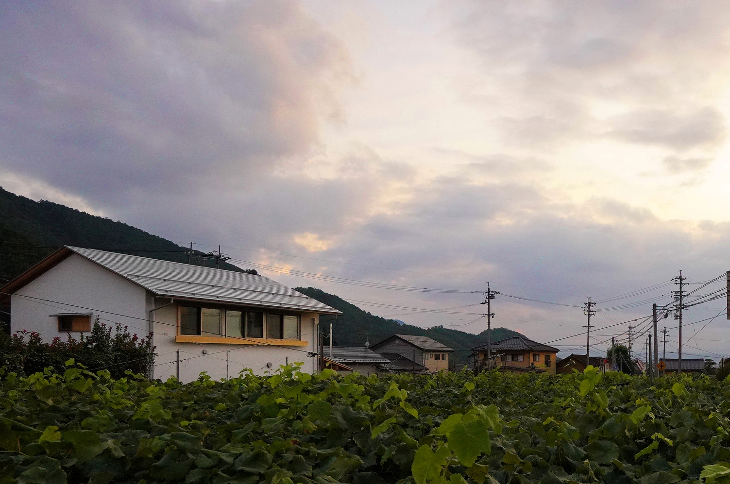 須坂の家