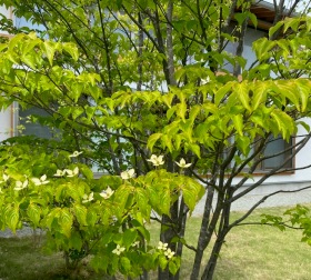 土地決済