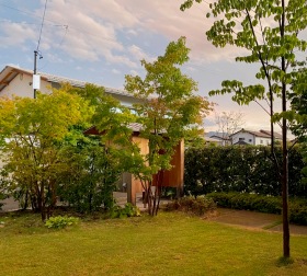 夕立のあと