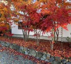 小布施の家づくり