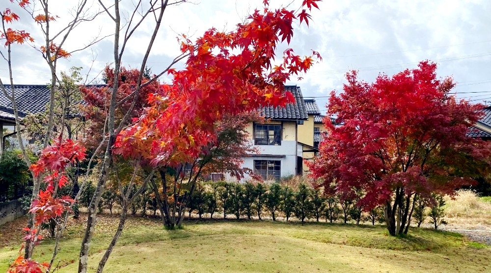 長野の工務店ダイコク。その社屋「篠ノ井アトリエ」の植栽。