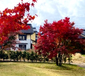 ご迷惑をかけて