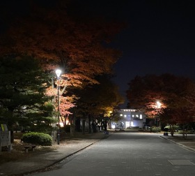 慎ましく自分らしく暮らす