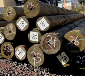 長野市赤沼の家づくり