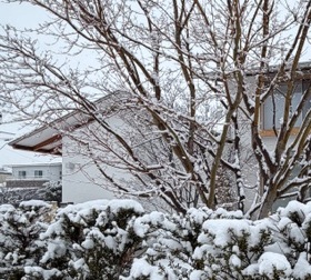 スポーツへの着眼点